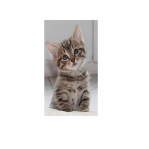 Toalha Microfibra 124